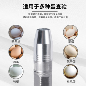ไฟฉายปากกา ไฟ LED สำหรับงานอุตสาหกรรม สแตนเลสขัดเงา โหมดฟลัดไลท์ ใช้แบตเตอรี่แห้ง - Product Image 4