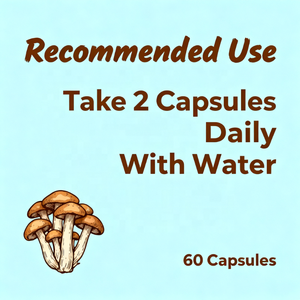 Capsules de complexe de champignons de marque privée supplément de champignons multi en un pour le soutien de la santé cérébrale et l'amélioration de la vitalité - Product Image 4