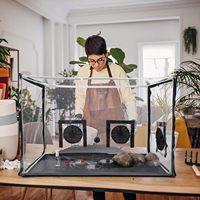 Grande boîte à air immobile pour la culture des champignons, kit de culture de champignons portable