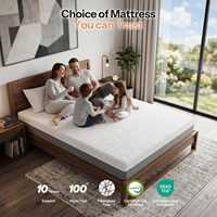 10-Zoll große Matratze, kühlende Gel-Memory-Schaum-Matratze in großer Größe gegen Rückenschmerzen, faserfreie, isolierende Übungsmatratze