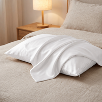Parure de draps et taies d'oreiller 4 pièces en Tencel 300TC, couleur unie, style moderne et luxueux pour la maison