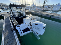 Bateaux de pêche en aluminium Gospel Sea king Easycraft 6M 20FT avec moteur hors-bord, 6 passagers, bateau rapide, bateaux de pêche en famille, bateaux de pêche en haute mer