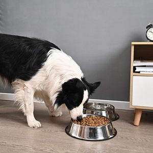 Top vendeur bols pour chiens de compagnie en acier inoxydable personnalisés bol d'eau Base en caoutchouc antidérapante fabricant - Product Image 5