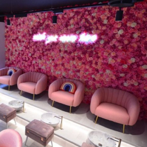 <strong>Pink</strong> Pedicure Station <strong>Beauty</strong> <strong>Salon</strong> Spa Chair Pedicure - Product Image 2