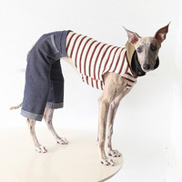Manteau d'été moderne et minimaliste en jean 3D à jambes larges pour chien, léger et tendance, pour lévrier italien et whippet