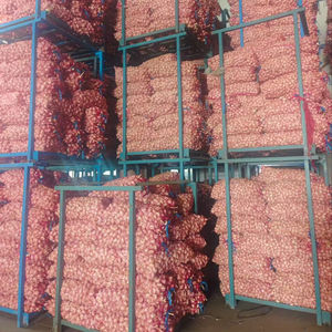 <span class=keywords><strong>Ajo</strong></span> fresco al por mayor libre de pesticidas buena calidad mejor precio Ail <span class=keywords><strong>Ajo</strong></span> Fresco Bawang Putih Popular en el mercado de Brasil - Product Image 6