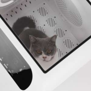 Scatola asciugatrice di grande capacità 66L <span class=keywords><strong>per</strong></span> <span class=keywords><strong>gatti</strong></span> e cani di piccola taglia ecologica di lusso Design rapido asciutto universale <span class=keywords><strong>per</strong></span> negozi di animali - Product Image 4