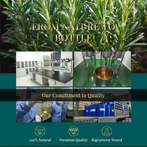 Private Label Natural and <b>Raw</b> Rosemary Oil Hair Care Oil for Hair Care <b>Skin</b> Aromatherapy 5KG Organic Rosemary Essential Oil - Product Image 6