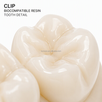 Modelo Dental de Resina Biocompatible Impreso en 3D CLIP, Producción de Interfaz Líquida Continua de Alta Precisión, Laboratorio Dental Personalizado OEM