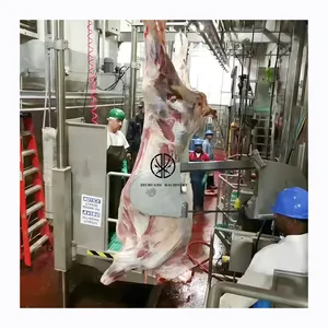 Fácil operación, equipo de matadero de toros Halal, máquina impresionante de matanza de vacas, uso automático, línea de anatomía