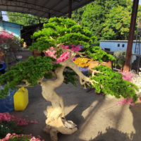 Arbre artificiel en pin Bosai en plastique, 100 % réaliste, fait main, vert, pour intérieur, en fibre de verre, grand arbre pour restaurant, résistant aux UV