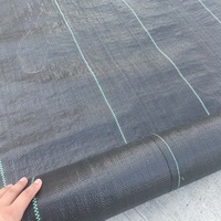 Toile de paillage tissée pour le contrôle des mauvaises herbes, usage domestique et jardinage, pour la protection des sols