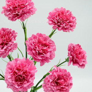 Dongchen Crafts Artificial Carnation Silk <b>Flowers</b> Single-headed Long-stem 8.5 Cm Diameter <b>Vase</b> <b>Flowers</b> Home Decor - Product Image 2