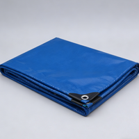 Disponible en plusieurs couleurs, bâche en PVC enduit super épais et durable (750 g) pour 30 ans, idéale pour la cour, le camping et la piscine.