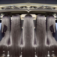Perruque frontale transparente en dentelle suisse, cheveux humains vierges brésiliens raides en vison brut, perruque complète HD 360 en dentelle pour femmes noires
