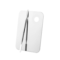 Palette de maquillage en plastique transparente 2 pièces avec miroir et pinceau plat pour salons de beauté et maquilleurs professionnels – Nouveauté très demandée en Chine