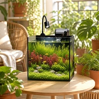 Ensemble d'aquarium de bureau tout-en-un en gros, aquarium personnalisable directement de l'usine avec filtre, éclairage LED et couvercle pour commandes en gros