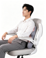 Coussin de soutien lombaire ergonomique en forme de M pour chaise de bureau, coussin dorsal en mousse à mémoire de forme avec sangle réglable, couleur personnalisable, vente en gros