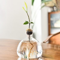 Jarrón de Vidrio Transparente Estético con Forma de Semilla de Aguacate, Florero Simple para Arreglos Florales Modernos en el Hogar