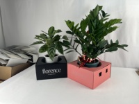 Boîte de livraison de fleurs personnalisée pour fleuriste, pour bouquet de mariage, emballage de roses et de lys, expédition de fleurs fraîches pour supermarché, centre de jardinage