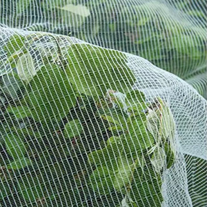 Anti Insect Netting HDPE Agricultural Virgin White Green <strong>Color</strong> <strong>Mesh</strong> Nets Anti-Insect Proof Net For Agro Vegetable Greenhouse - Product Image 3