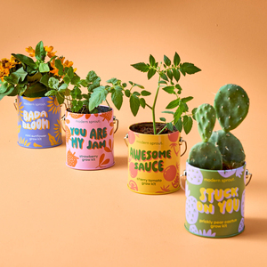Paquete de 4 kits de cultivo de jardín más populares que tarro de cactus de pera Espinosa y es un regalo personalizado para amigos - Product Image 5