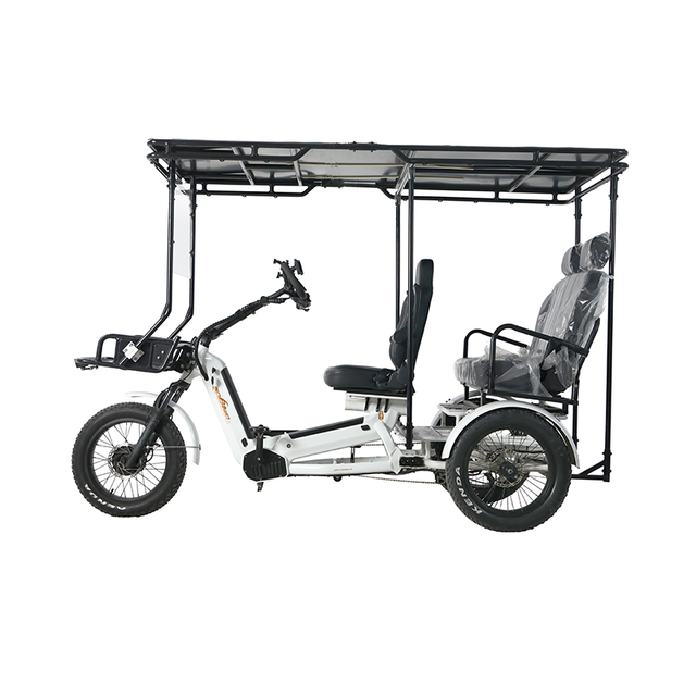 Touring and Renting 20 Inch Removable Lithium Battery Powered Adult Electric Cargo Tricycle 2500w 48V Fat Tire Wheels Rickshaw