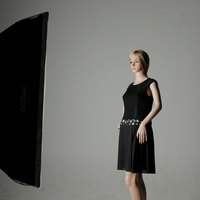 Godox 30x120cm 12x47 pouces PVC Speedlite Studio Strobe Flash Photo Réflecteur pour Diffuseur pour Monture Bowens