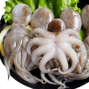 Pulpo de bebé congelado limpio entero pulpo de grado IQF ingrediente de MARISCOS CONGELADOS a granel para cocina japonesa cocina coreana - Product Image 6