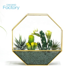 Bloem <span class=keywords><strong>Terrarium</strong></span> Helder Glazen Pot Bloempotten Plantenbakken Glas <span class=keywords><strong>Terrarium</strong></span> Huis Bloempot Klein <span class=keywords><strong>Terrarium</strong></span> - Product Image 1