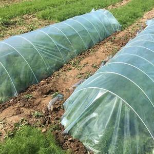 ग्रीनहाउस सुरंग फ्रेम ग्लास फाइबर रॉड उच्च शक्ति संयंत्र ढेर छोटे कृषि ग्रीनहाउस फ्राप - Product Image 5