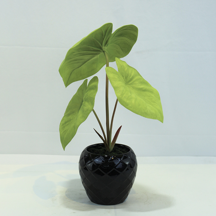 High Quality Hot Sale PU Simulation Identical Artificia Lalocasia Alocasia  Odora Artificial Plant to Natural Lifelike Bonsai| Alibaba.com