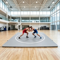 Tapis d'entraînement professionnel en PVC pour grappling – Tapis de lutte et arts martiaux portable et pliable, cible en mousse épaisse autoportante noire 4m pour salle de sport