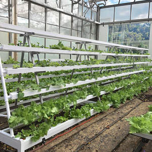 Serres <span class=keywords><strong>de</strong></span> <span class=keywords><strong>jardin</strong></span> en film plastique PVC, kit complet avec canaux NFT pour culture hydroponique, qualité alimentaire, grande taille, monocouche, pour légumes-feuilles - Product Image 2