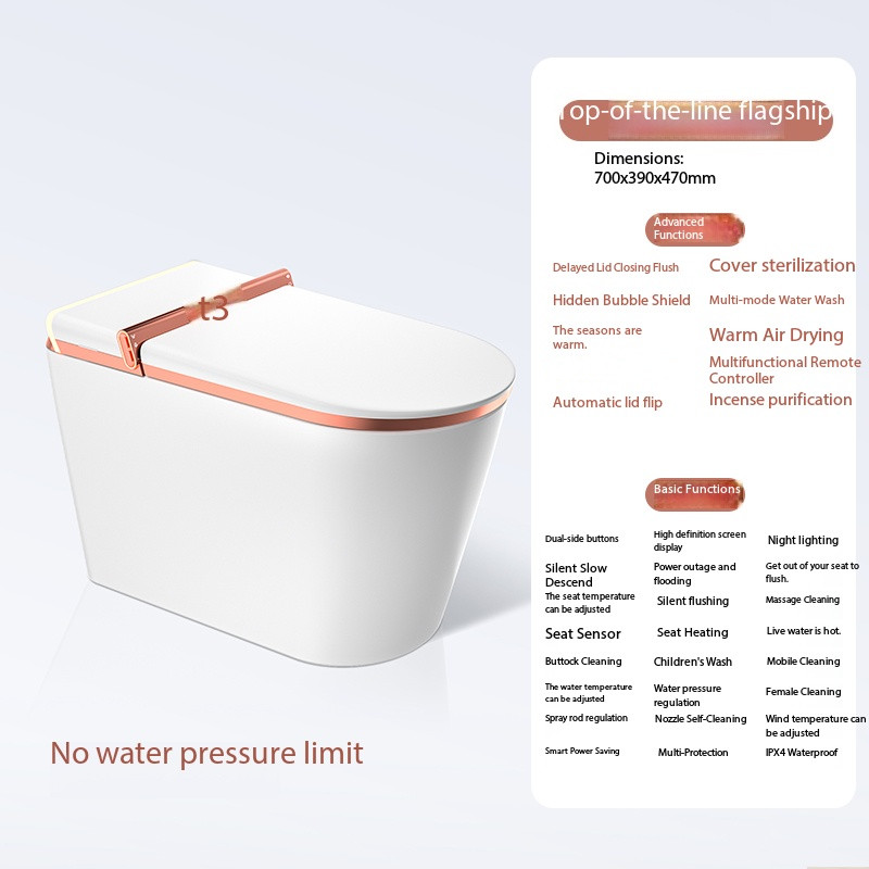 Top Function with Water Tank-Rose gold 220V