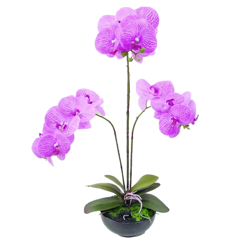 Высококачественные искусственные орхидеи на ощупь, орхидеи, цветы, Орхидея для украшения помещений