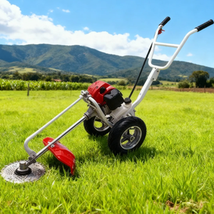 Professional 4-Stroke DIY Grade Petrol Brush Cutter Grass Trimmer 35.8CC Engine in Cutting <strong>Height</strong> 1 Year Warranty - Product Image 5
