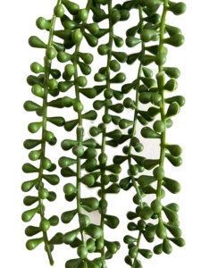 Planta Artificial Colgante de Perlas, Tipo Suculenta, para Decoración de Paredes, Hogar, Jardín y Exteriores - Product Image 4