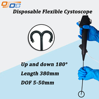 Endoscope flexible vétérinaire Cystoscope Caméra jetable Instrument médical d'endoscopie à usage unique pour endoscope à usage clinique