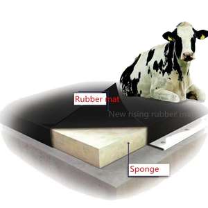 Colchón de establo <span class=keywords><strong>para</strong></span> vacas/Esteras de cubículo <span class=keywords><strong>para</strong></span> vacas lecheras/Colchón de espuma <span class=keywords><strong>para</strong></span> vacas <span class=keywords><strong>para</strong></span> equipos de granja lechera - Product Image 1