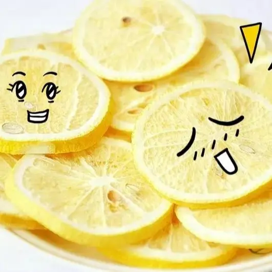 食品凍結乾燥レモン