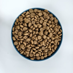 Nourriture sèche pour chats OEM ODM <span class=keywords><strong>GreenFood</strong></span> 36plus AC - Product Image 1