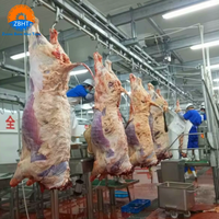 Équipement d'abattage de bétail, machinerie d'abattoir complète, projet clé en main pour usine de transformation de la viande bovine avec service de conception gratuit