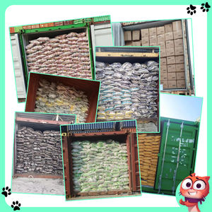 OEM الفلبين ماليزيا متعددة العطور خالية من الغبار قوية تتكتل الساحة بارا جاتوس الكرة على شكل بنتونيت - Product Image 4