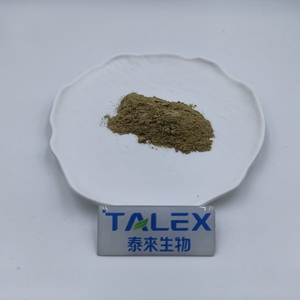 Poudre de spicules d'éponge Spongilla naturelle à 45 % et 70 %, prix d'usine, pour peeling à base d'algues - Product Image 3