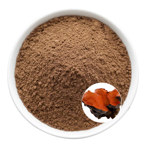 Pure <span class=keywords><strong>Antrodia</strong></span> Camphorata Extract-Suplemento de hierbas para productos naturales de bienestar - Product Image 2