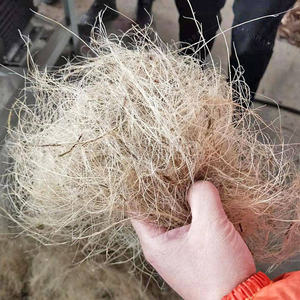 Máquina de procesamiento de prensa extractora de fibra de coco Máquina extractora de fibra de coco - Product Image 4