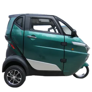 Sinh Thái Thân Thiện Hoàn Toàn Kèm Theo EEC Electric Scooter Ba Bánh Xe Điện