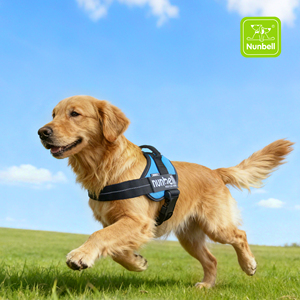ヌンベル通気性メッシュ犬用ハーネス、パッド入りオックスフォード生地、バックル留め、おしゃれなリボン飾り、プロ仕様、大型犬用 - Product Image 1