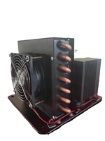 Petite mini unité de condensation refroidie par air DC 12/24V